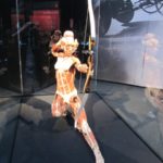 Bogenschützin Berliner Körperwelten Ausstellung