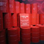 darstellung und vergleich körperwelten ausstellung