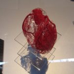 herz gefäße körperwelten ausstellung