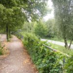 bethaniendamm-und-grünstreifen