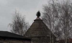 Baum auf Dach Friedrichshain