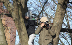 Fotografen in Bäumen