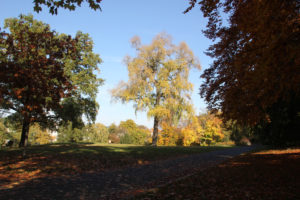 01 Herbst Viktoriapark Kreuzberg