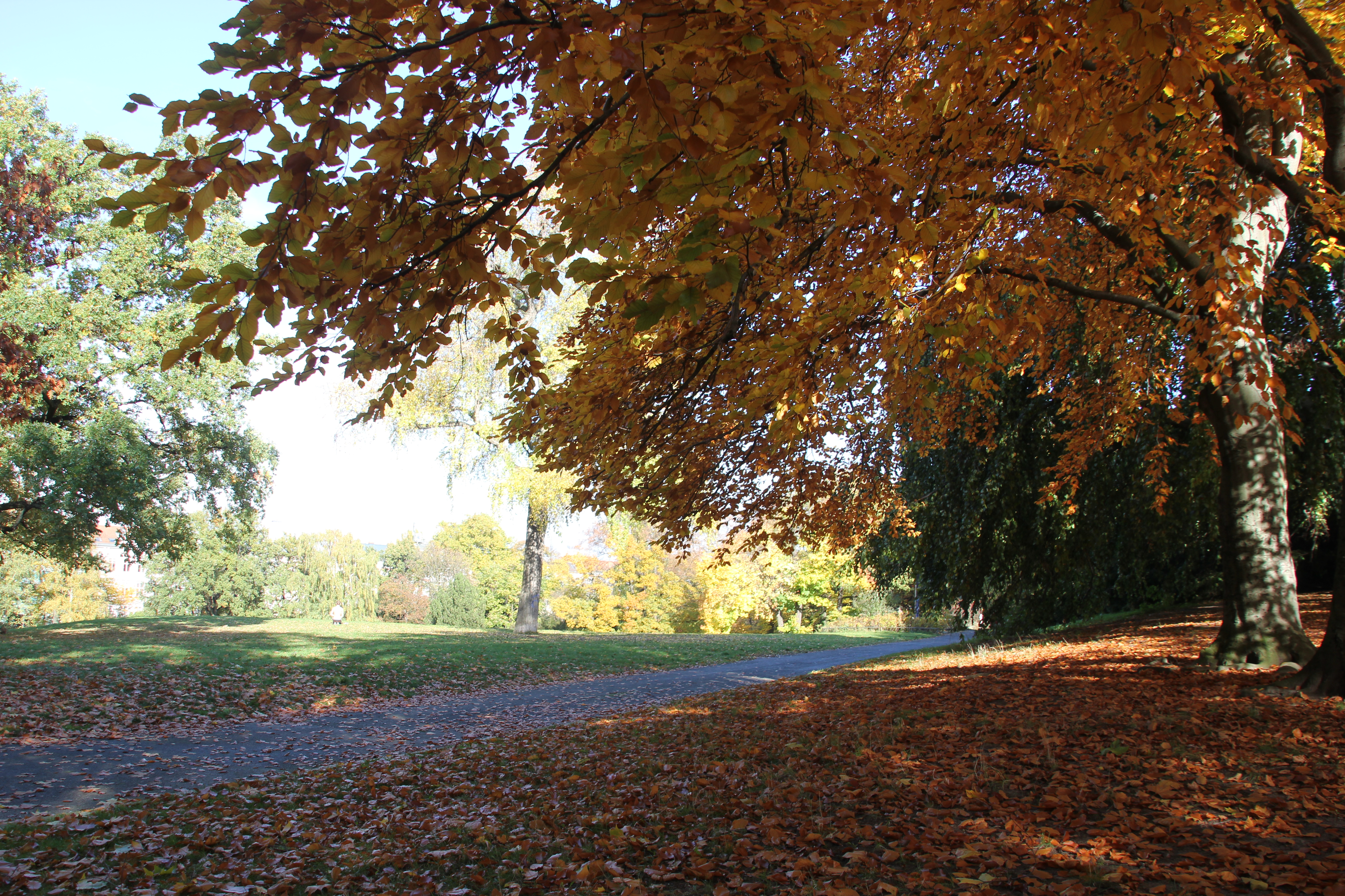 09 Herbststimmung Viktoriapark Kreuzberg