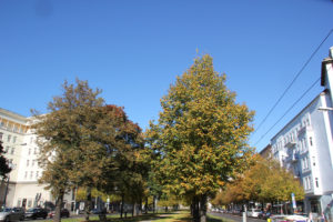 Petersburger Herbst