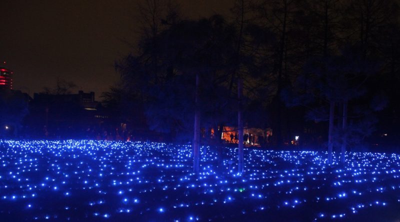 Christmas Garden Berlin Feld blau leuchtet